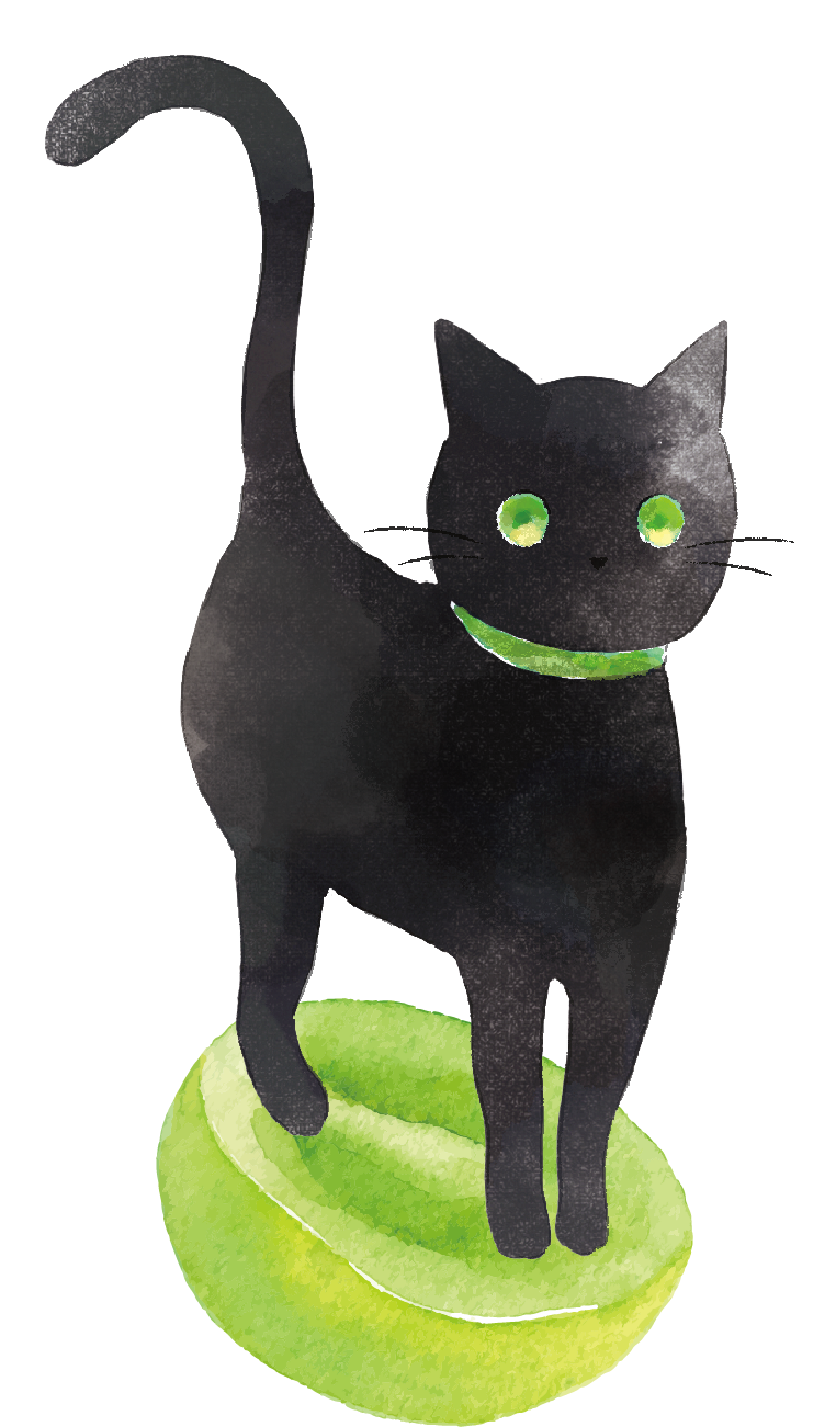 黒猫