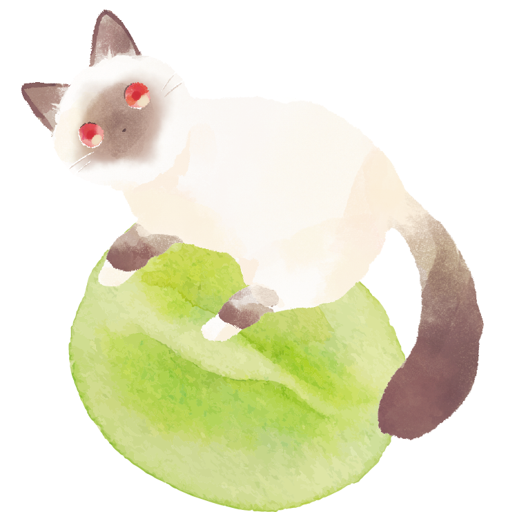 白猫